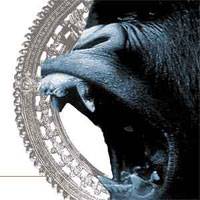 Fistula (USA-1) : Burmese - Fistula